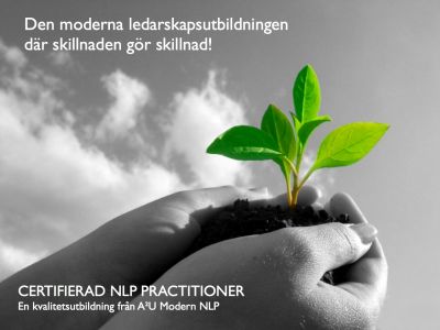 NLP Practitioner